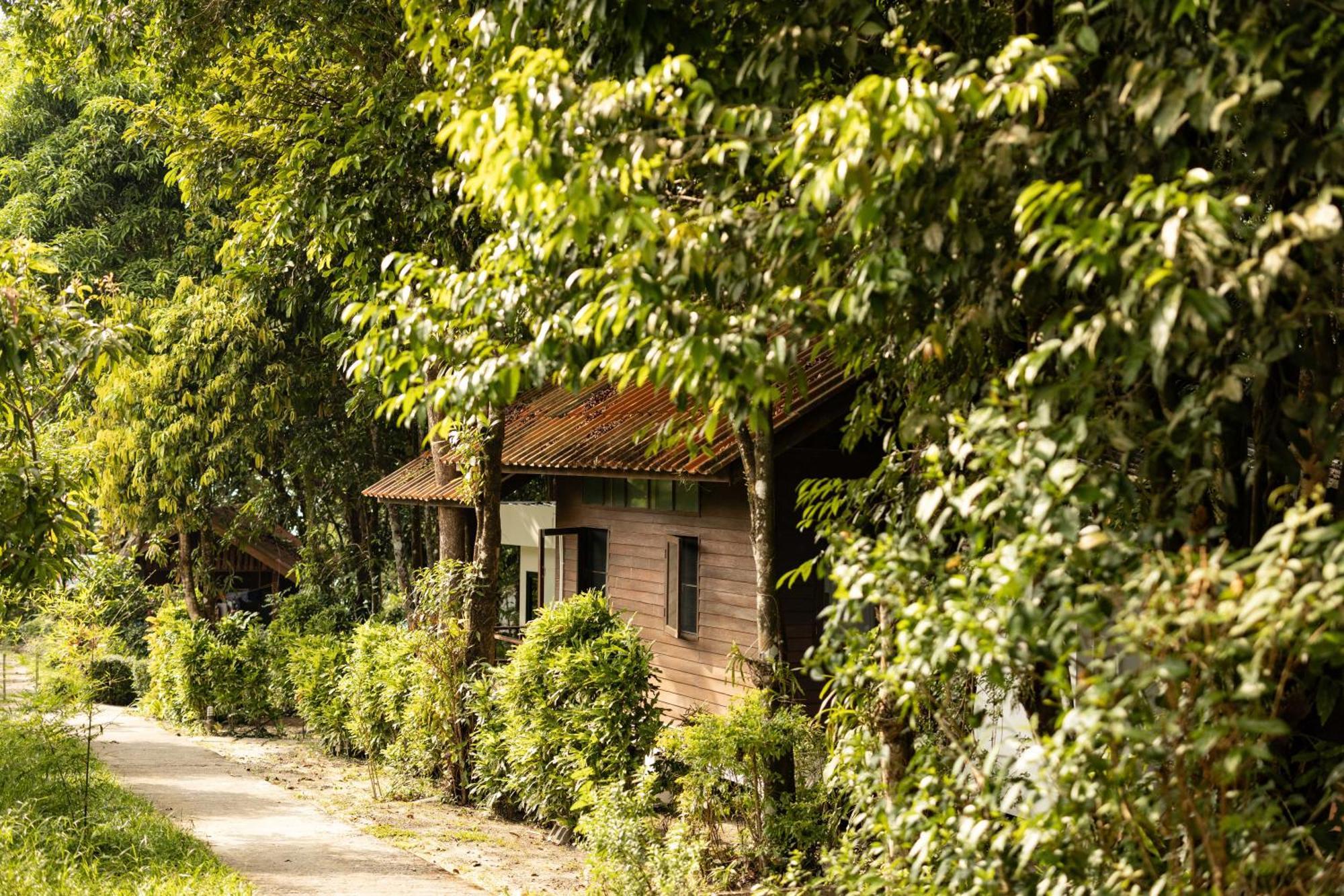 Hotel Barefoot Project Formerly Baan Klong Kleng Koh Phayam Exterior foto